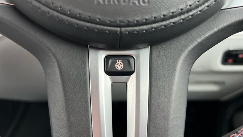 Heated Steering Wheel