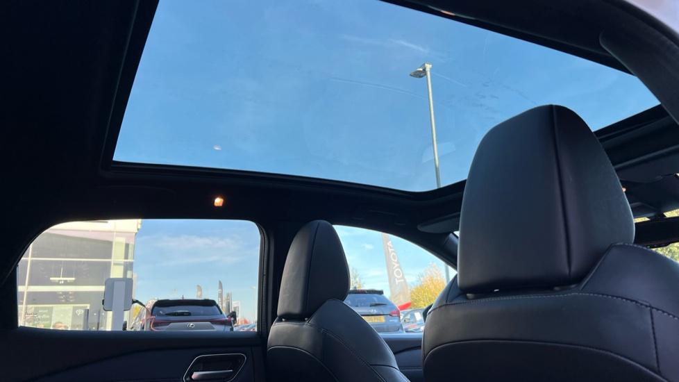 Panoramic Roof