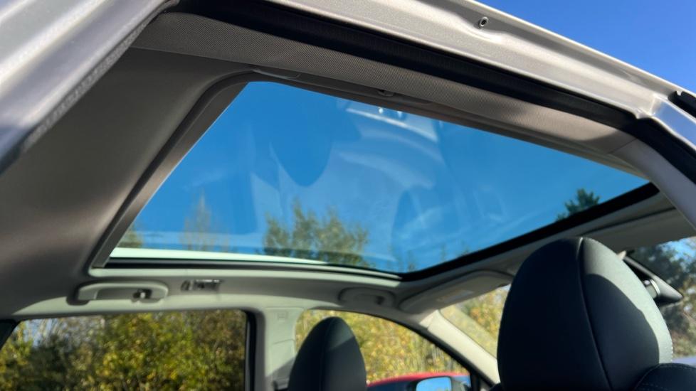 Panoramic Roof