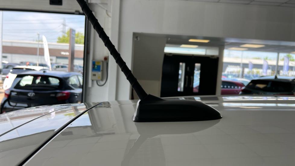 Gallery slide 41