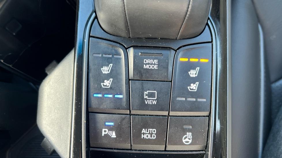 Heated & Cooled Seat