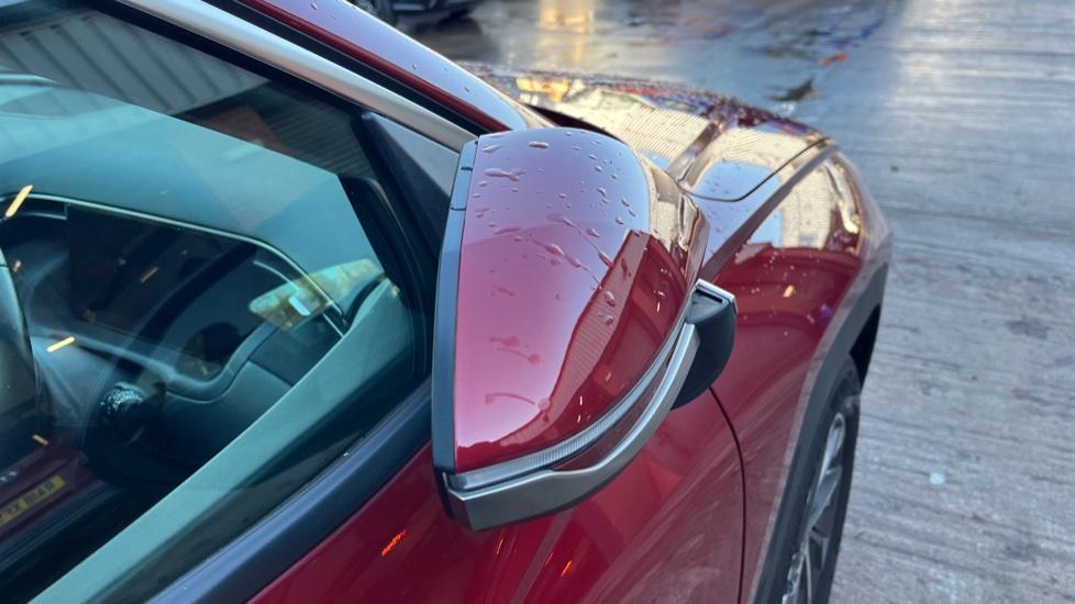 Power Folding Mirrors