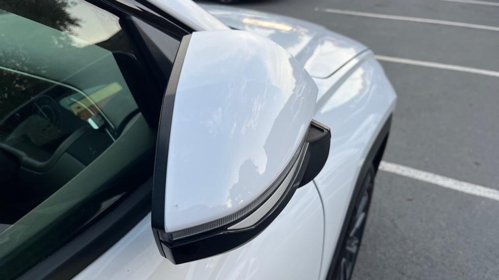 Power Folding Mirrors