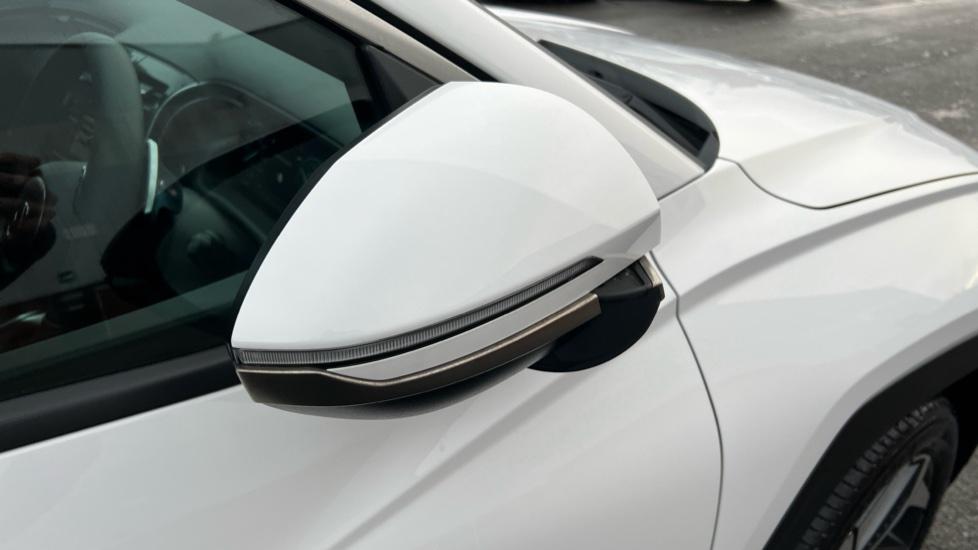 Power Folding Mirrors