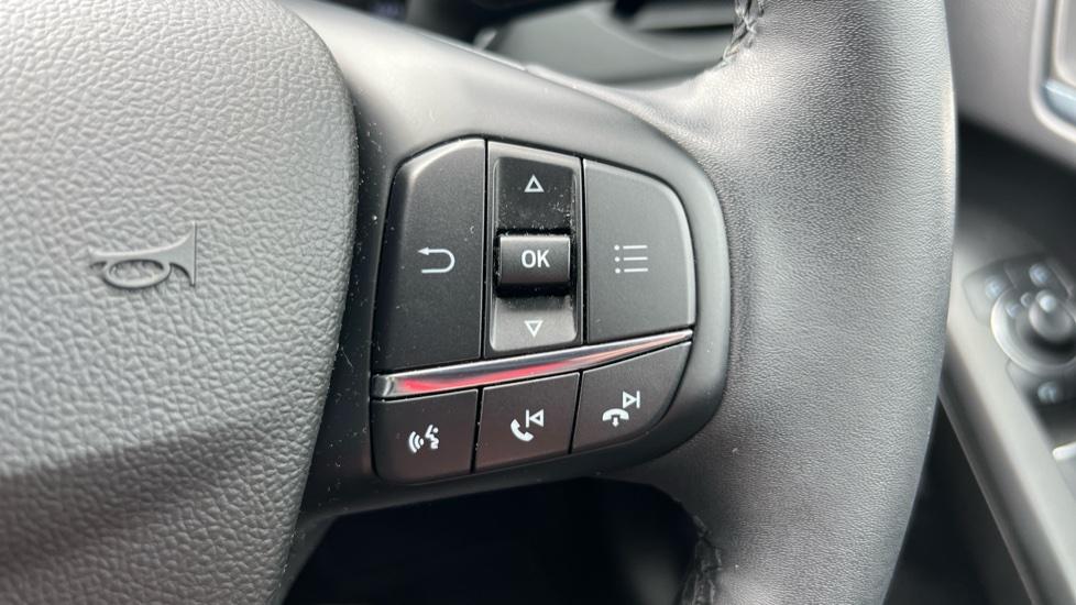 steering wheel controls 