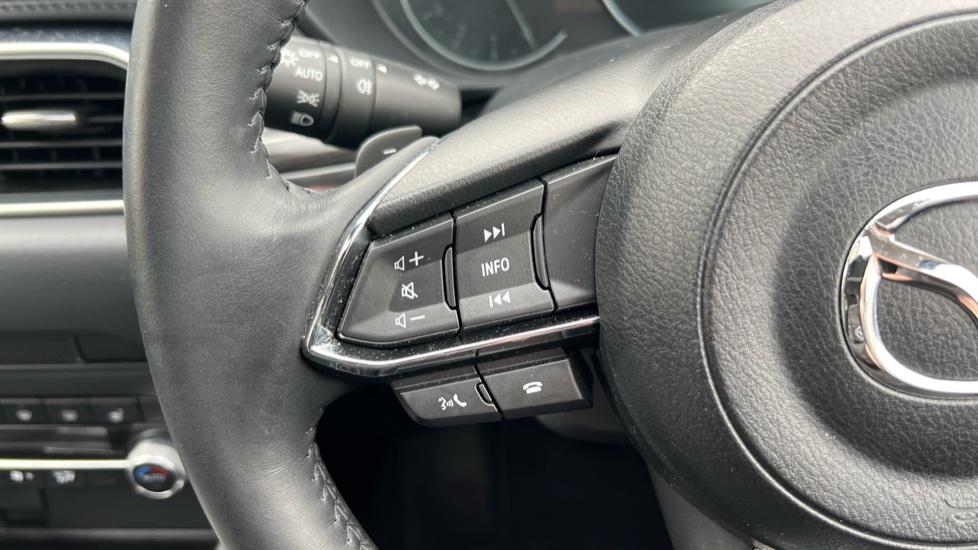 steering wheel controls 