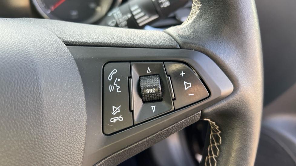 steering wheel controls 