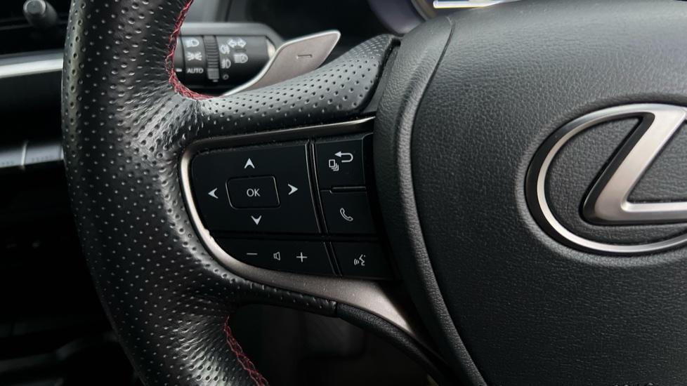 steering wheel controls 