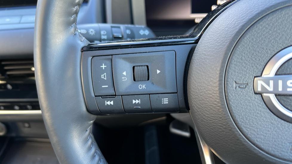 steering wheel controls 