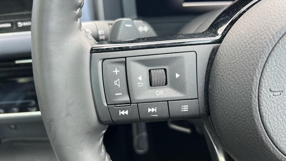 steering wheel controls 