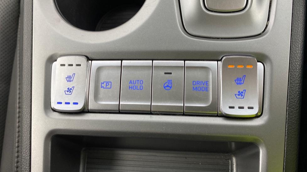 Heated and cooled seats 