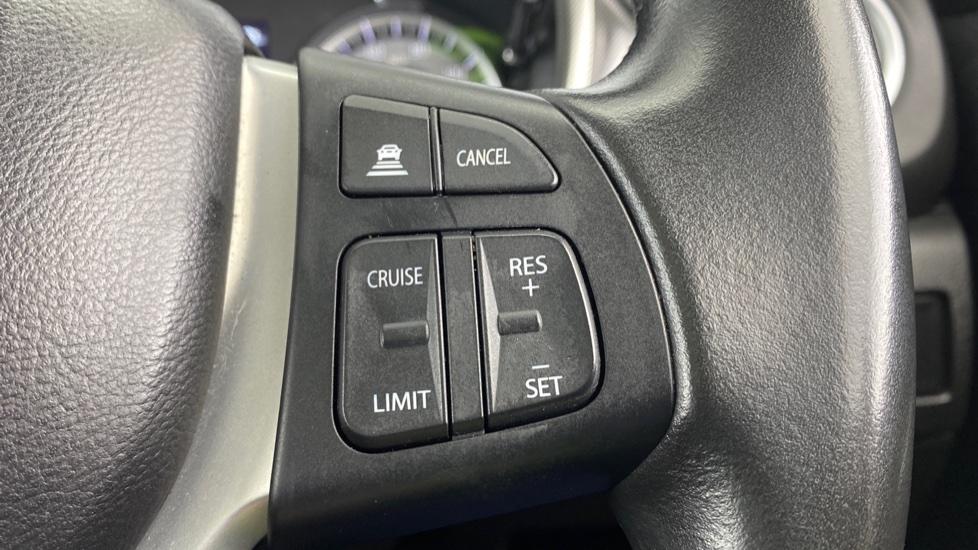 speed limiter and cruise control 