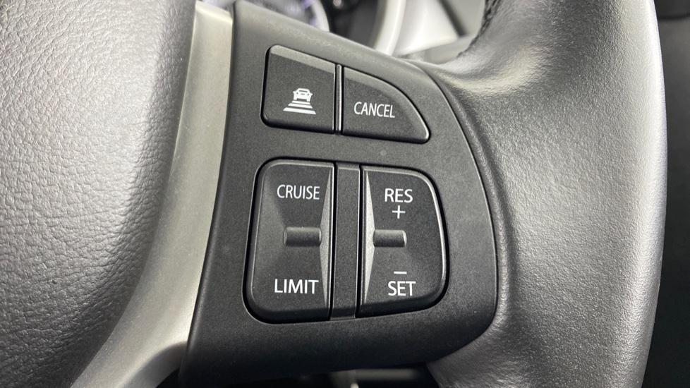 speed limiter and cruise control 