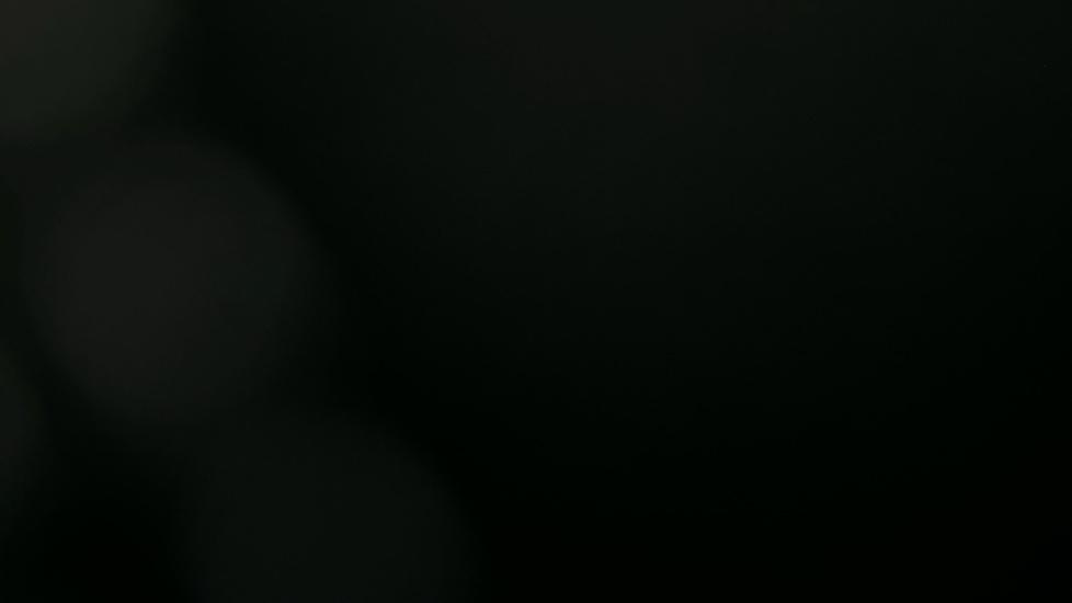 Gallery slide 29