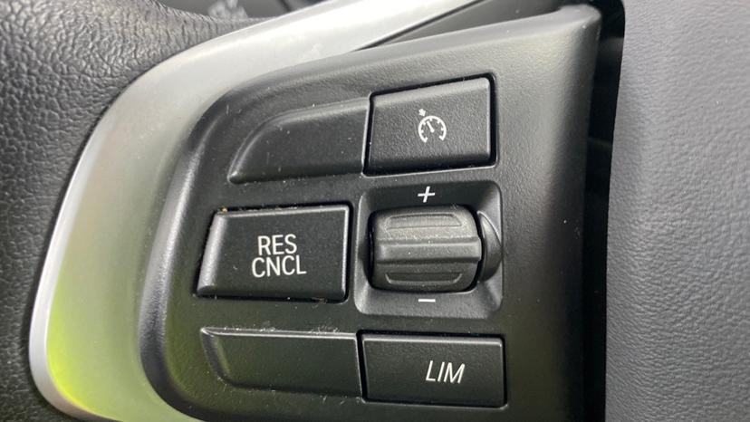 Speed limiter and cruise control 