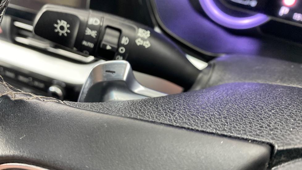 paddle shifters 