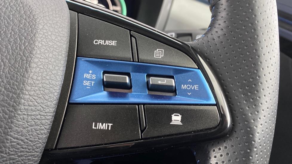 speed limiter and cruise control 