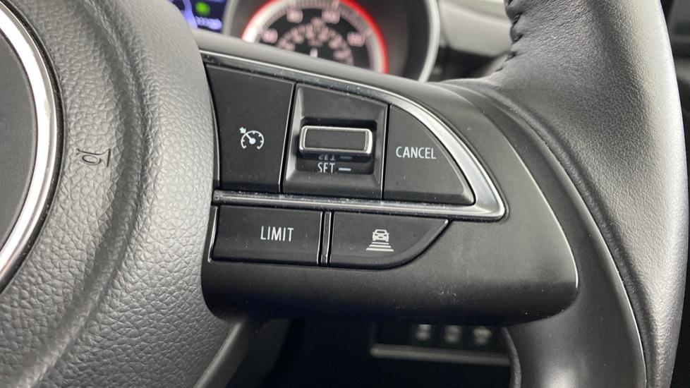 speed limiter and cruise control 