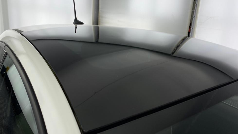 Panoramic Roof