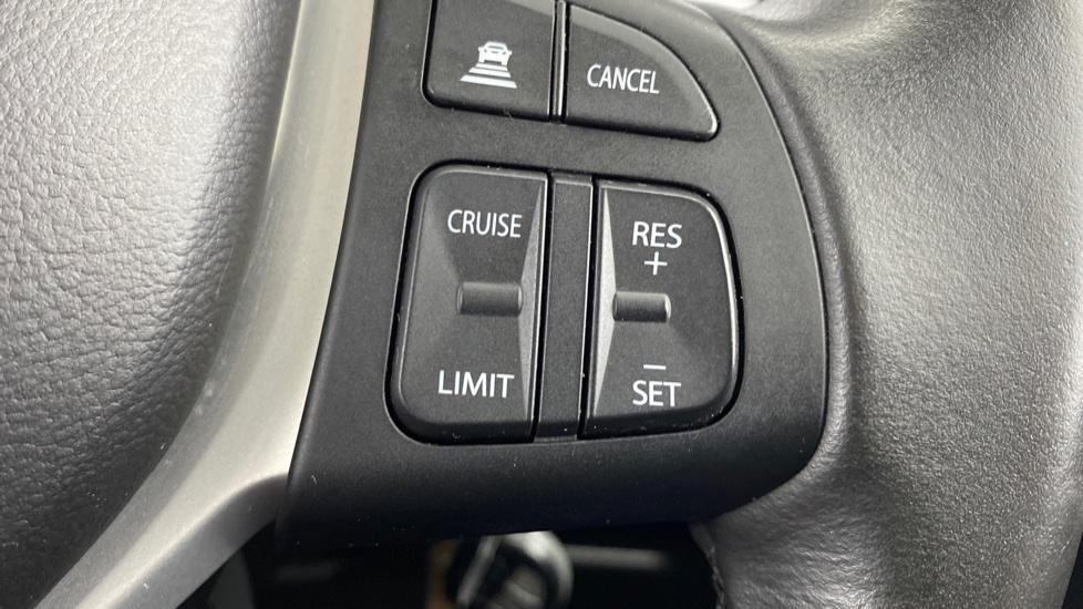 speed limiter and cruise control 