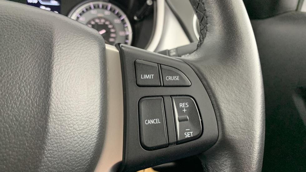 cruise control/ speed limiter 