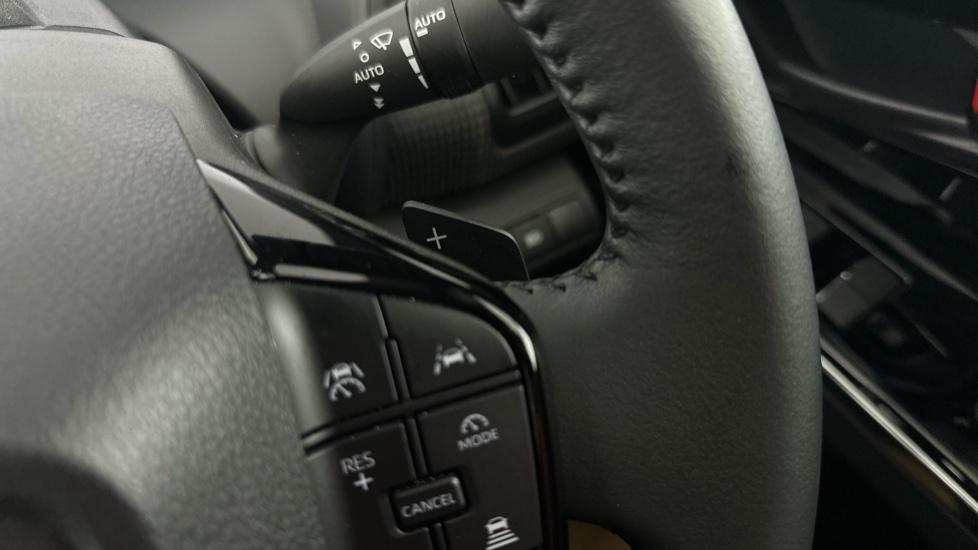 Paddle Shifters