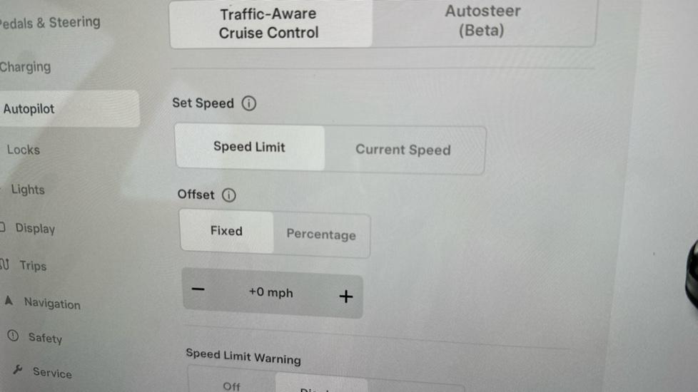 Cruise Control/Speed Limiter 