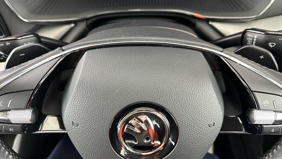 Paddle Shifters 