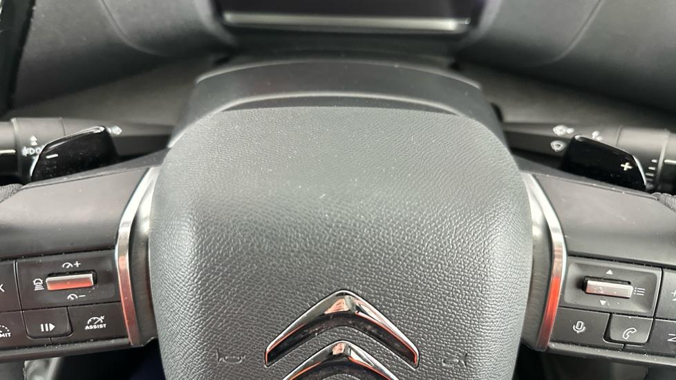 Paddle Shifters 