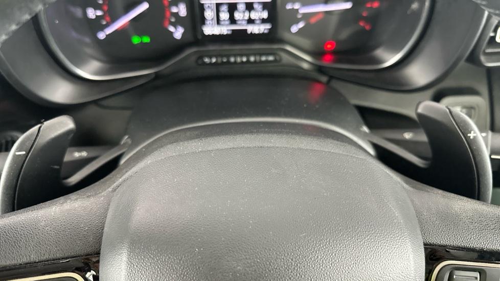 paddle shifters 