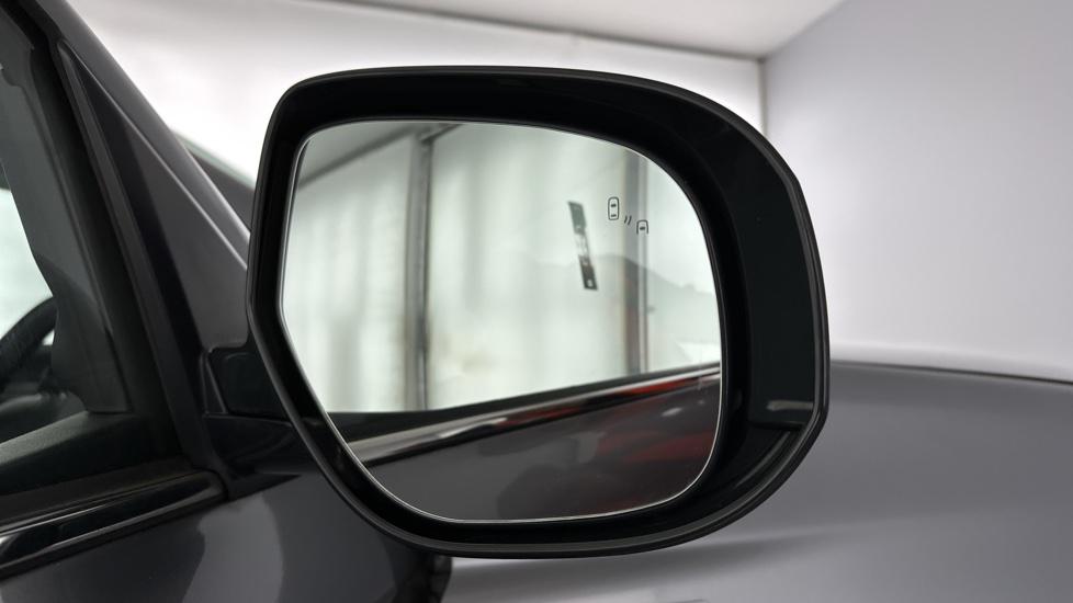 Blind spot monitoring system 