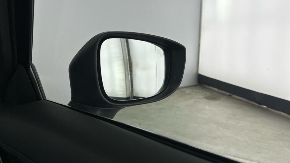 Blind spot monitoring system 