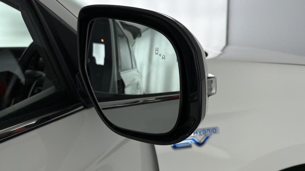 Blind spot monitoring system 