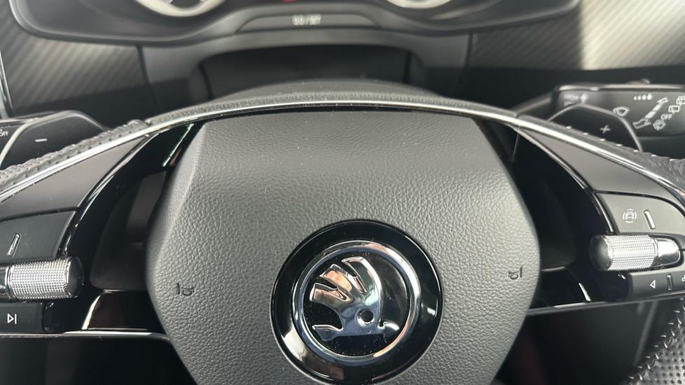 Paddle Shifters 