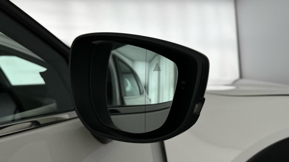 Blind spot monitoring system 