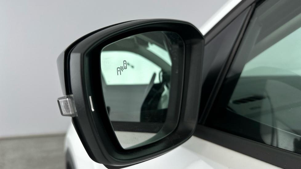 Blind spot monitoring system 