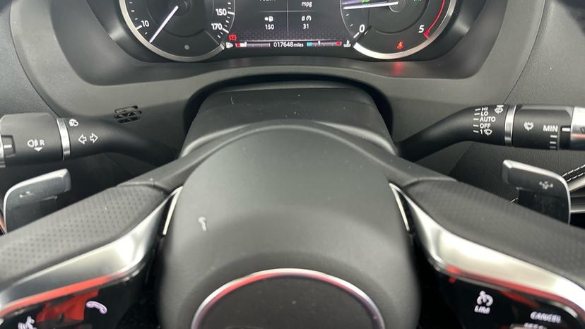 Paddle Shifters 