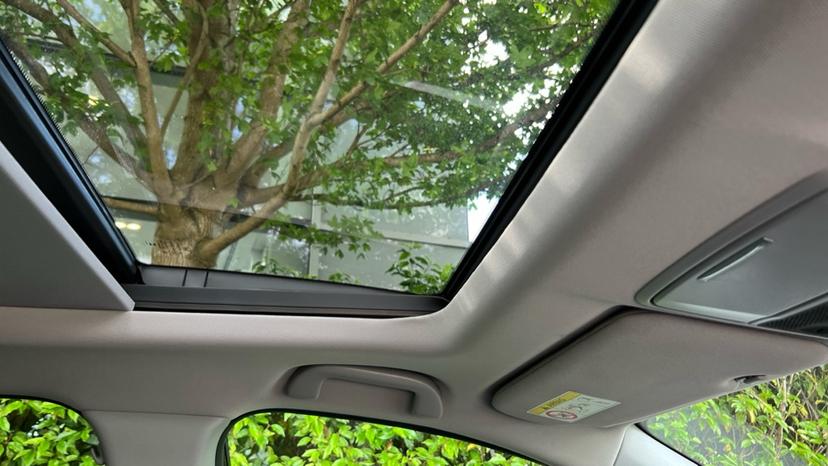 Panoramic Roof