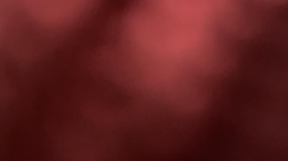 Gallery slide 22