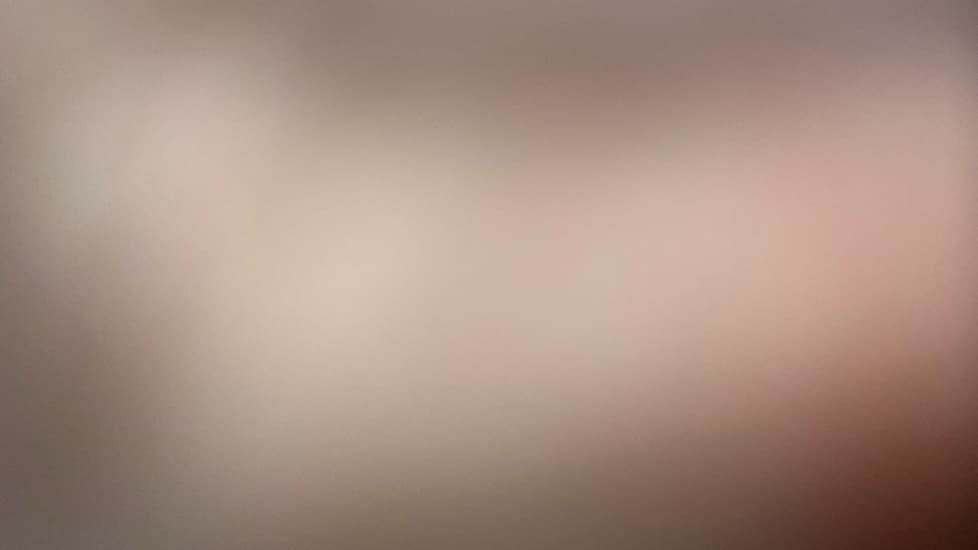 Gallery slide 21