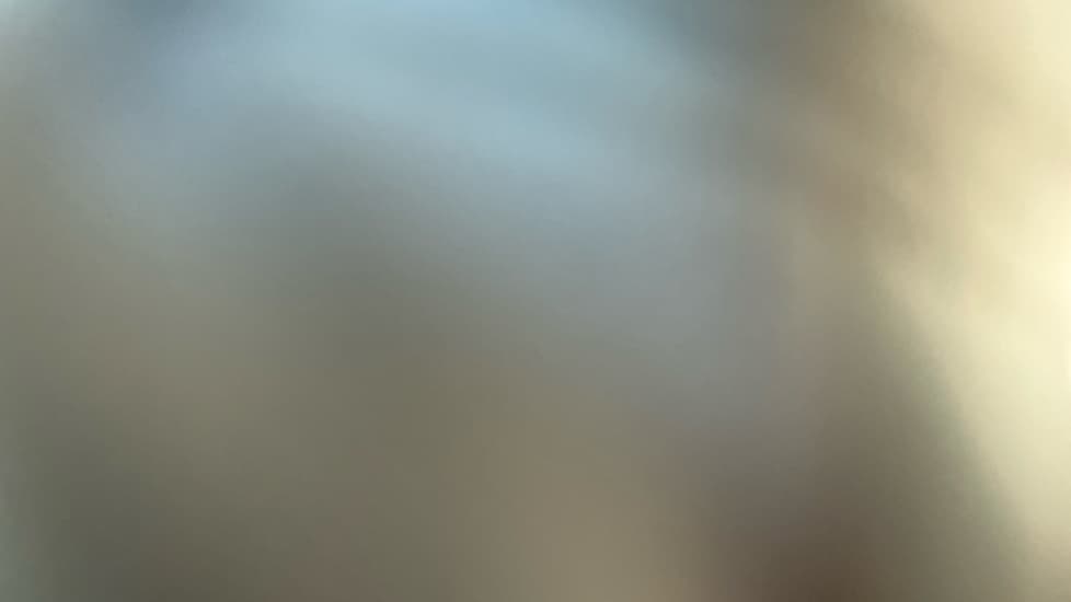 Gallery slide 22