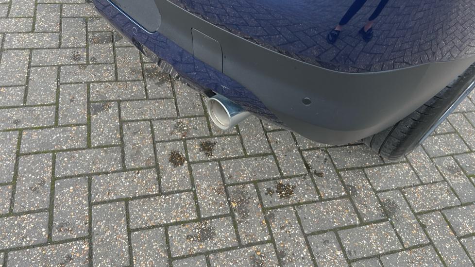 Rear Parking Sensors