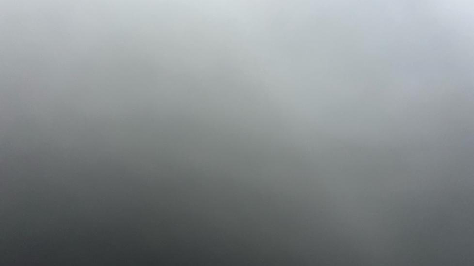 Gallery slide 22