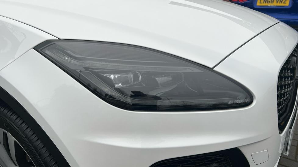 Gallery slide 17