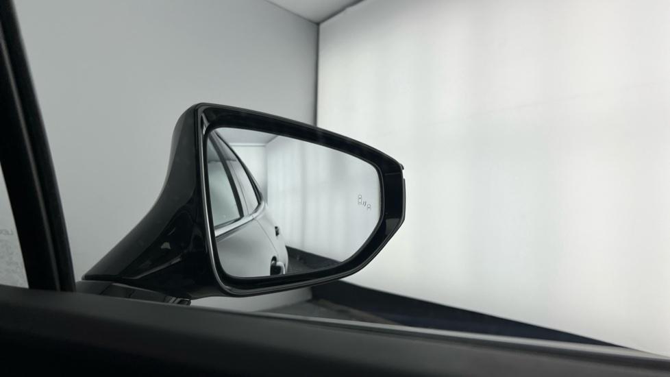 Blind spot monitoring system 