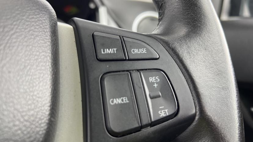 Speed limiter and cruise control 