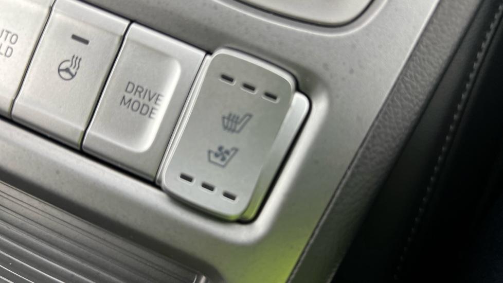 heated and cooled seats