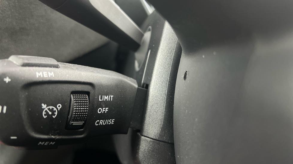 speed limiter and cruise control 