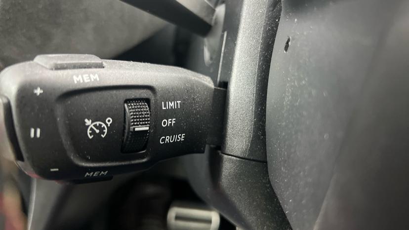 speed limiter and cruise control 