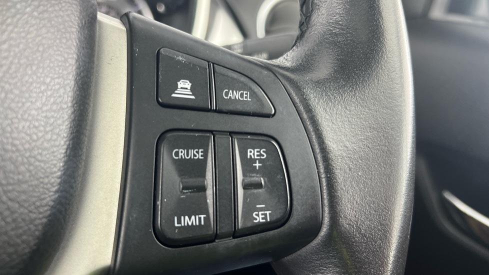 Cruise Control & Speed Limiter